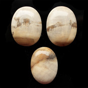 Кабошоны из натуральных камней Окаменелое дерево комплект кабошонов №1707226