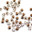  Шатоны Swarovski Rose Gold