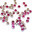  Шатоны Swarovski Rose