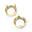 Rivoli Swarovski (Риволи Сваровски) Chaton Stone 1122 Оправы для кристаллов 1122 цвет золото