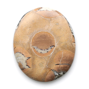 Кабошоны из натуральных камней Липарит кабошон 216010