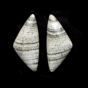 Кабошоны из натуральных камней Скарн кабошон 215448