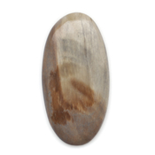 Кабошоны из натуральных камней Окаменелое дерево 215716