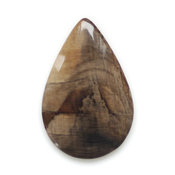 Кабошоны из натуральных камней Окаменелое дерево кабошон 217322